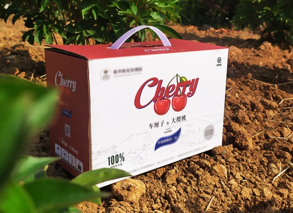 櫻桃、車?yán)遄佣Y盒